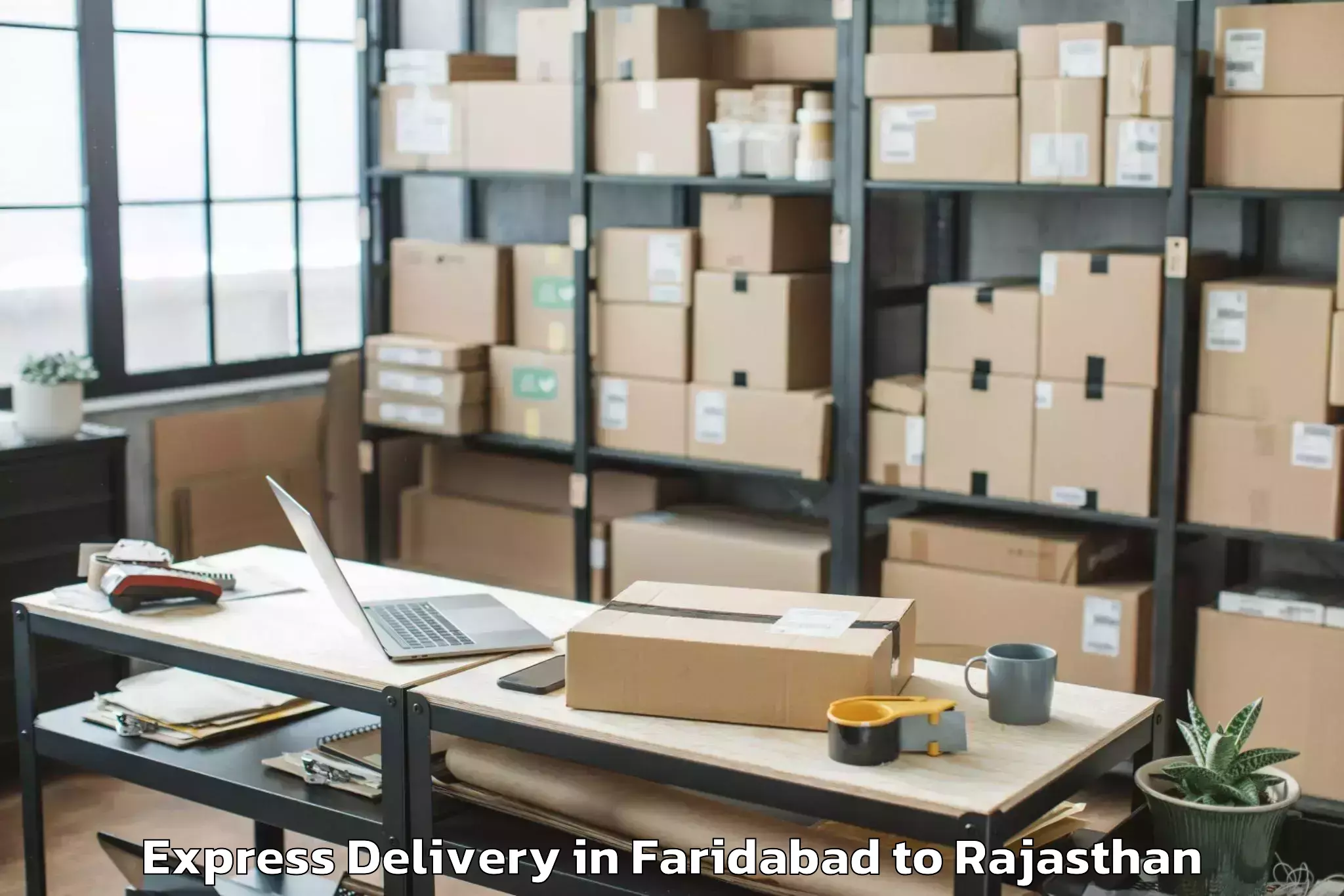 Leading Faridabad to Bagru Express Delivery Provider